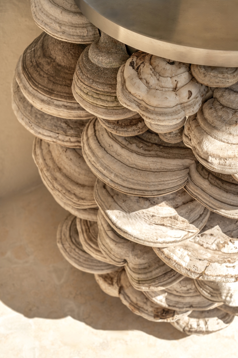 yod group designed the mushrooms inspired restaurant interior 9